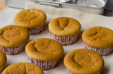 Homemade Cupcake for Breaking Time.