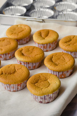 Homemade Cupcake for Breaking Time.