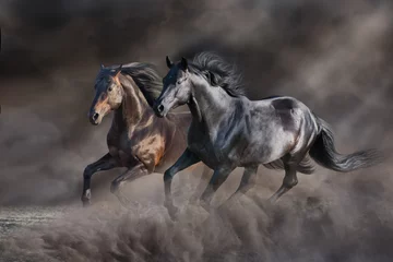 Foto op Plexiglas Paard Galopperen met twee paarden in woestijnstorm