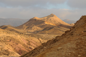 Desert landscape at sunrise. Hiking desert part of Israel National Trail. Negev desert . Valley. Colorful sands 