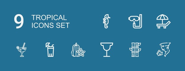 Editable 9 tropical icons for web and mobile