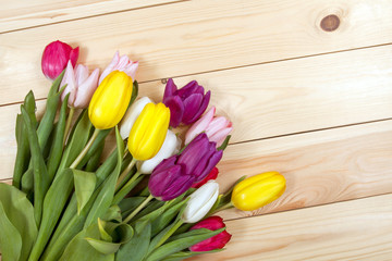 Obraz na płótnie Canvas Tulips flowers background