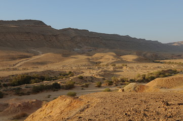 Desert landscape at sunrise. Hiking desert part of Israel National Trail. Negev desert . Valley. Colorful sands 