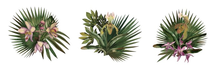 Fototapeta na wymiar Tropical leaves and flowers isolated on white background. Round palm leaves, watercolor painted orchids.