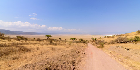 Fototapeta na wymiar Road to the plateau of the Ngorongoro crater