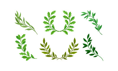 Wreath of Leaves and Branches with Separate Twigs Vector Set © Happypictures