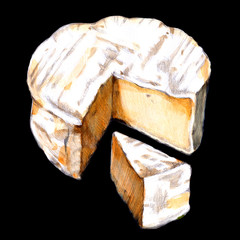 Camembert watercolor illustration on black background