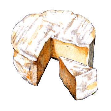 Camembert Watercolor Illustration On White Background