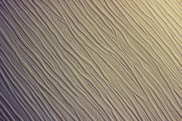 photo of the pattern and texture of the wallpaper surface. Wallpaper colors can change the mood of the room.