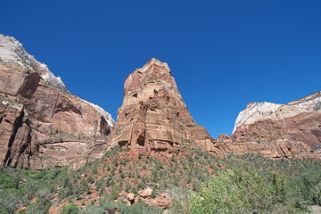 Fototapeta premium ザイオン国立公園