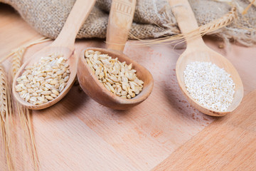 Different barley groats, whole grains in wooden spoons close-up