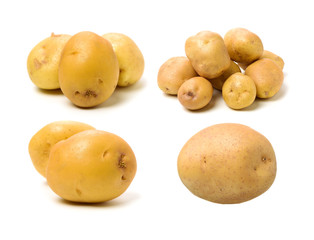 New potato isolated on white background