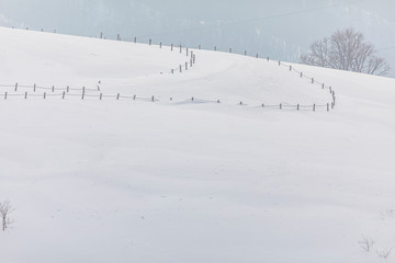 Daegwallyeong Sky sheep Ranch in Gangwon Province in winter Snowfall