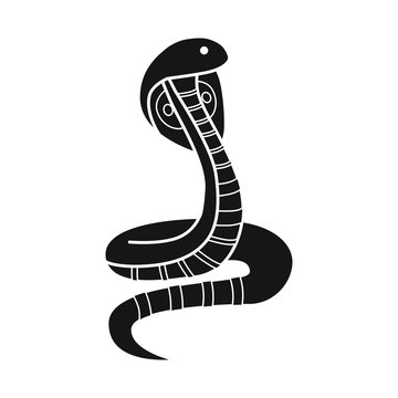 Isolated object of cobra and king symbol. Graphic of cobra and head stock vector illustration.