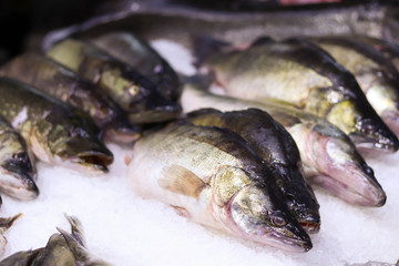 Fresh raw fish on ice, fish on the counter in the store