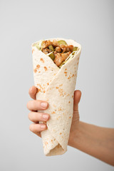 Female hand with tasty doner kebab on light background