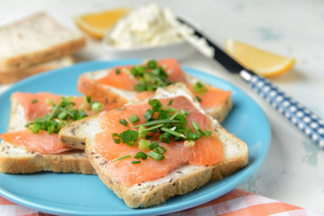 Sandwiches with tasty cream cheese and salmon on plate