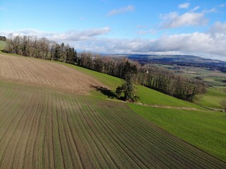 Fototapeta na wymiar aerial view of a green field 