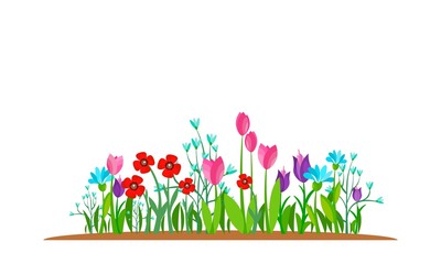 Summer and spring blossom forest and garden flowers field isolated on white background. Nature springtime flower. Vector illustration