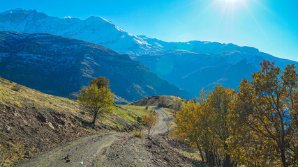 a beautiful view of nature with snowy mountains in the background and a countryside road goes toward the mountains