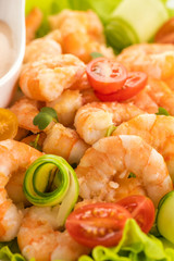 Grilled shrimp salad with fresh lettuce and cherry tomatoes.