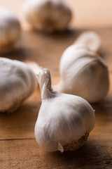 A lot of garlic on a wooden background. Close-up