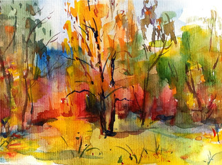 Watercolor colorful bright textured abstract background handmade . Mediterranean landscape . Painting of  the park in autumn , made in the technique of watercolors from nature