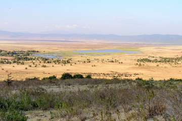 Fototapeta na wymiar Ngorongoro crater with Lake Magadi. Northern Tanzania