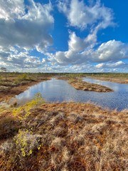 Fototapeta na wymiar swamp autumn National Park Kemeri Latvia landscapes
