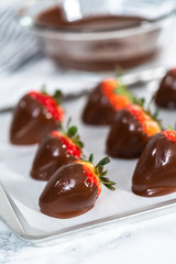 Chocolate dipped strawberries