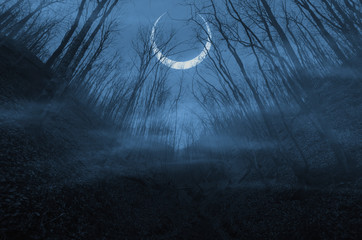 mysterious moon in dark forest at night, scary dark landscape