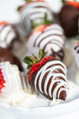 Chocolate dipped strawberries
