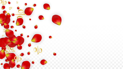 Vector Realistic Petals and Hearts Confetti. 