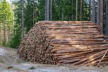 Large stack of timber in a forest in Sweden