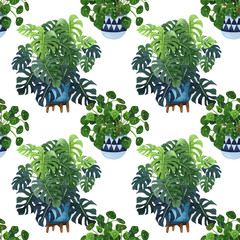 Watercolor houseplants growing in pots seamless pattern. Hand drawn floral bouquet, indoor plants and cactus in flowerpot. Greenery seamless 