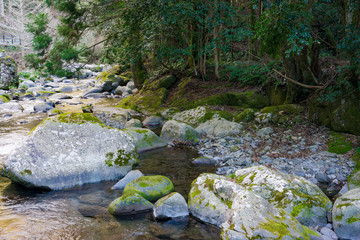 Fototapeta premium 河津七滝の川