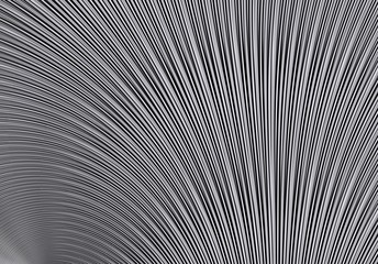 Abstract digital gray and white line art illustration