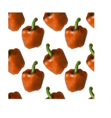 seamless patterns with bell pepper paprika of different colors