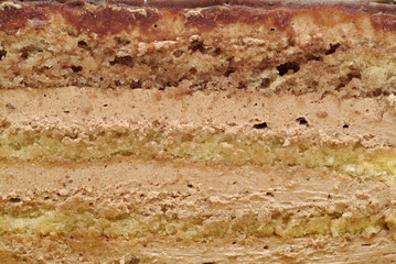 Cake slice close up