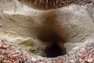 Discovered a few old tunnels from World War II