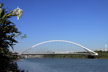 Fototapeta premium Barket bridge over the Guadalquivir river in Seville