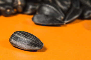 Sunflower seeds in  macro on orange background