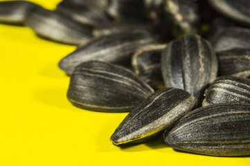 Sunflower seeds in  macro on yellow background