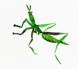 green grasshopper hand-drawn in sumi-e style
