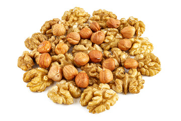 Peeled hazelnuts and walnuts on a white background