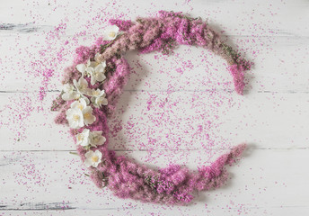 Flowers composition. circle made of pink flowers on a white background. Top view, flat lay.