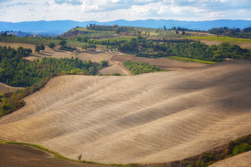Fototapeta na wymiar Typical autumn rural landscape of Tuscany , Italy