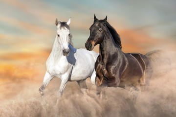 Obraz na płótnie Canvas Horse herd run free on desert dust against storm sky