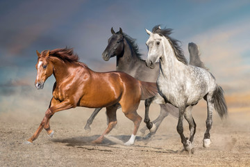 Horse herd run free on desert dust against storm sky