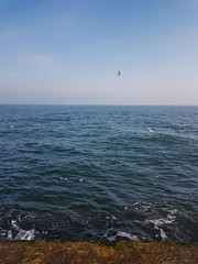 beautiful landscape of the Odessa coast of the Black Sea